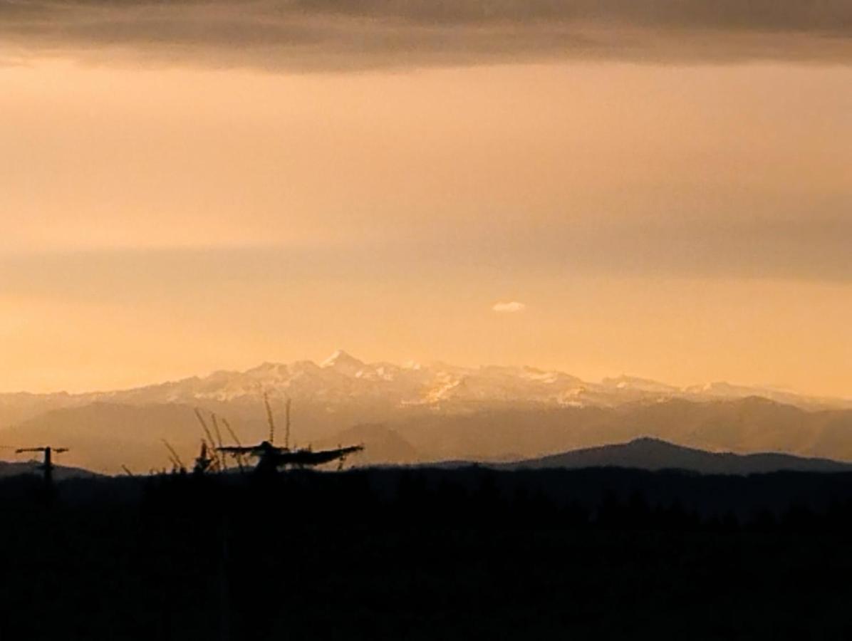 Appartement, Vue Sur Les Pyrenees Pouillon Buitenkant foto
